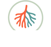 Gefässpraxis Basel